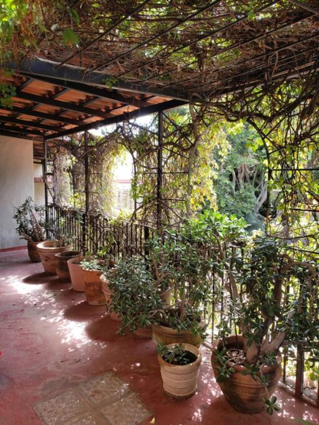 Enjoy Ac In The Queen'S Suite At Inn Ajijic Extérieur photo