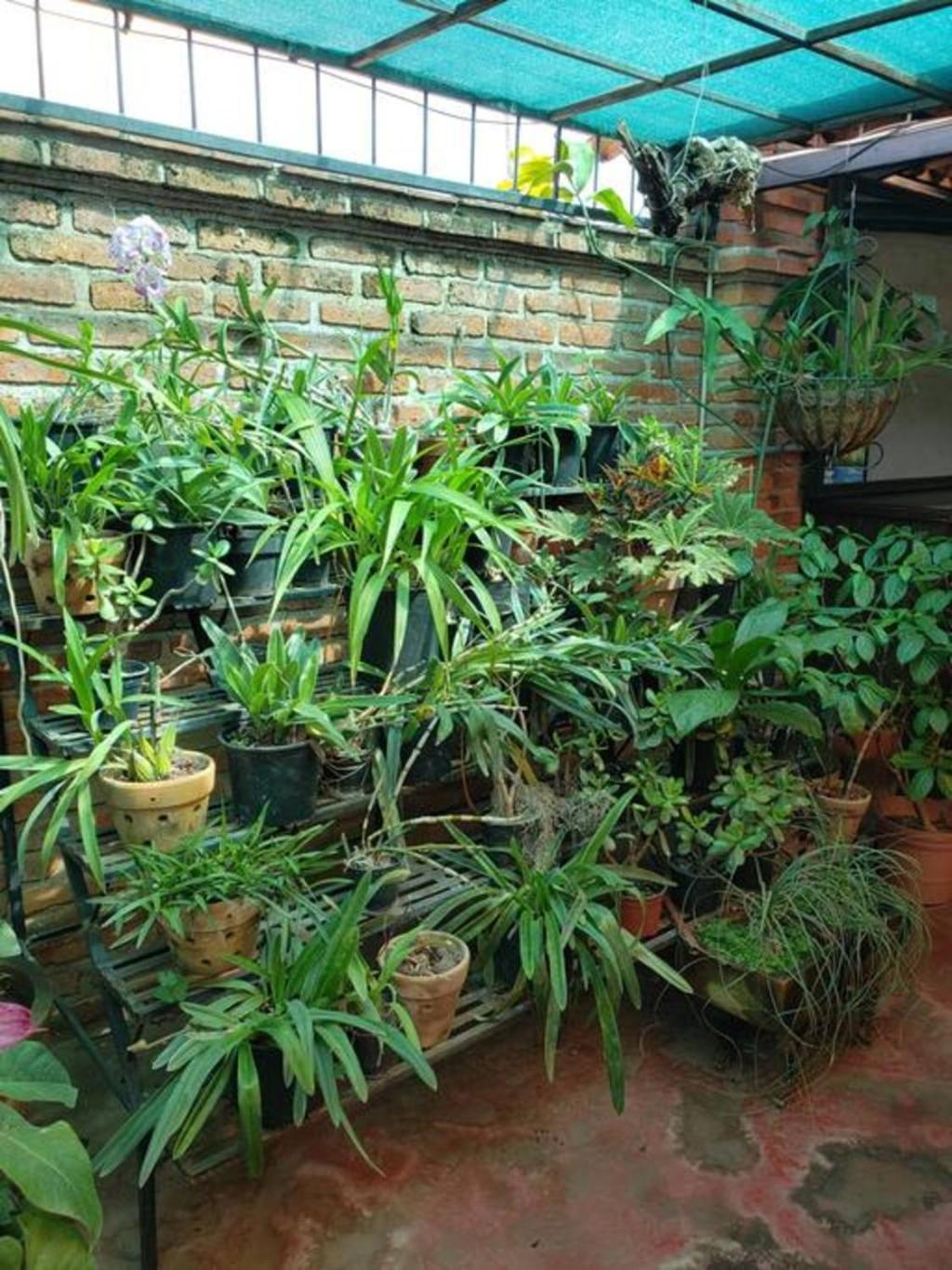Enjoy Ac In The Queen'S Suite At Inn Ajijic Extérieur photo